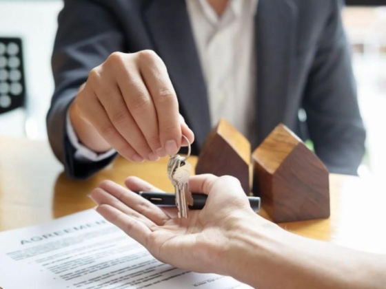 Investo Real Estate