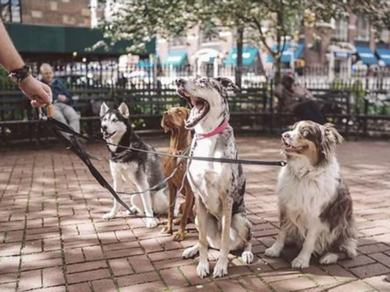 Happy Tails Est.