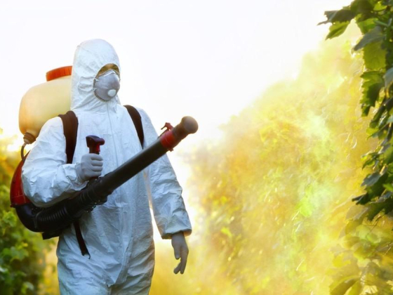 Quality Pest Control