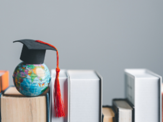 Amarmirgh Education Services