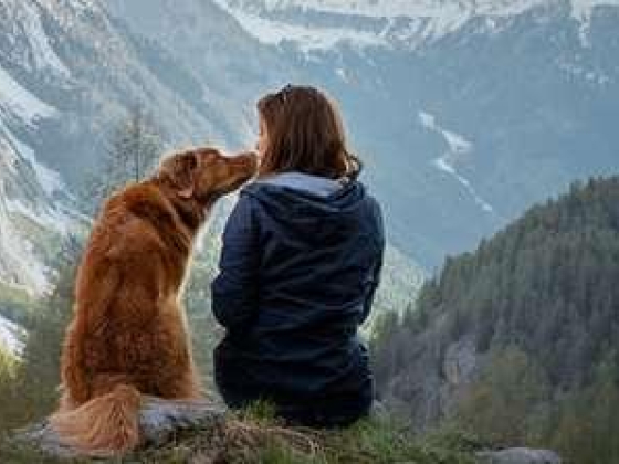 Blue Sky Pets Relocation Services