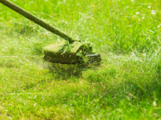 Arad Alnajoom Landscape & Gardening