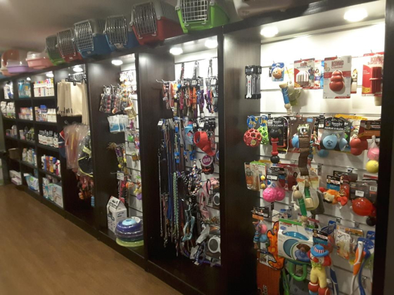 Precious Paws Pet Spa