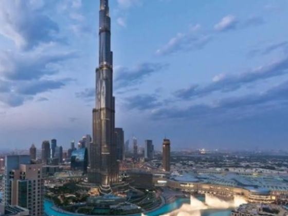 Dmaxx Properties
