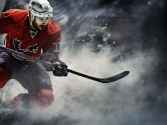 14 Sun Shine Hockey Sport