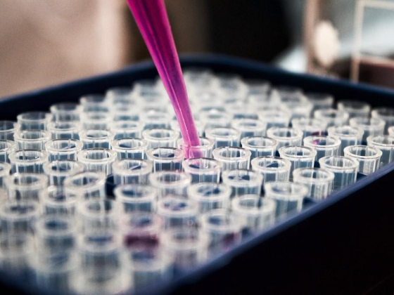 Informative Medical Technology & Information Systems Trading
