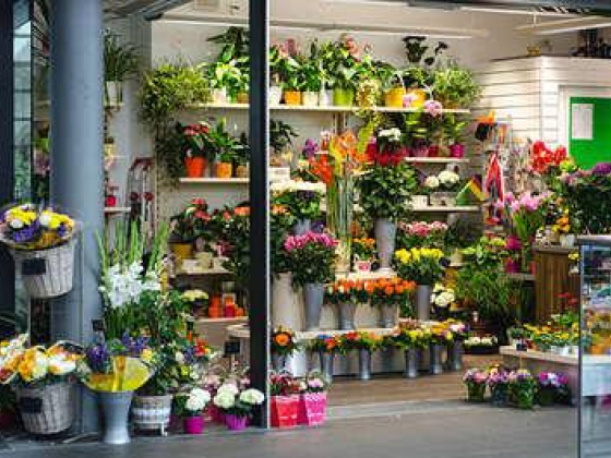 Flowers World