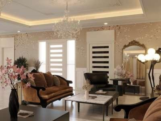 Circus Theory Interior Design