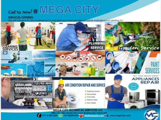 Mega City Technical Services LLC
