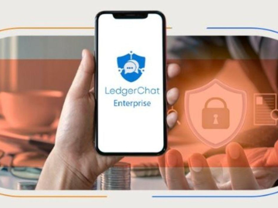 Ledger Fi It Solutions