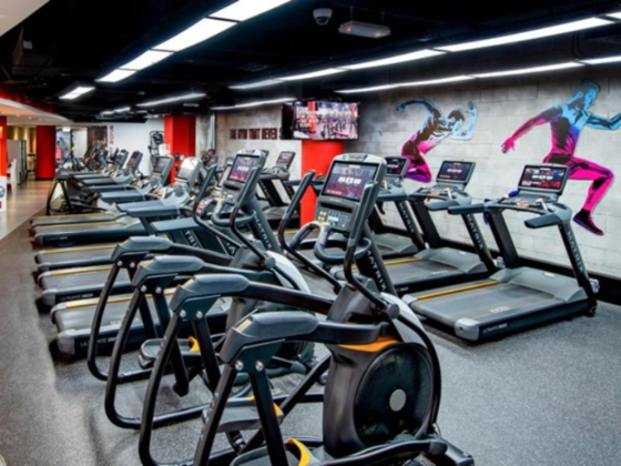 Metrofitt FZCO