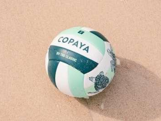 Dp World Volleyball Court