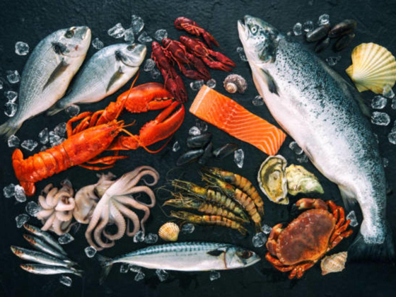 Ahmed Abdulla Mohammed Abdulla Fish Stall