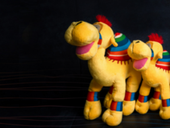 Camel Company