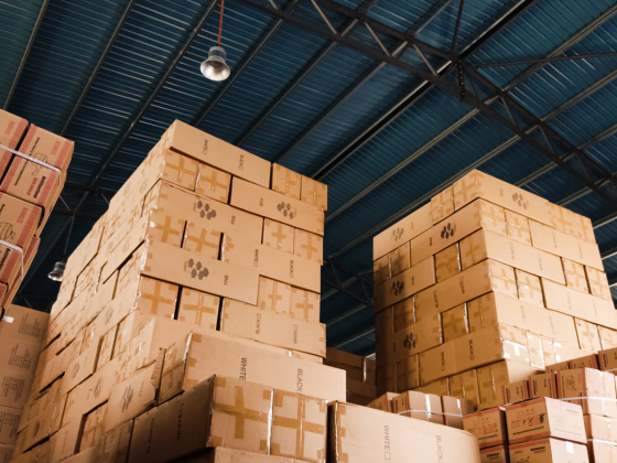 Paragon Shipping & Logistics