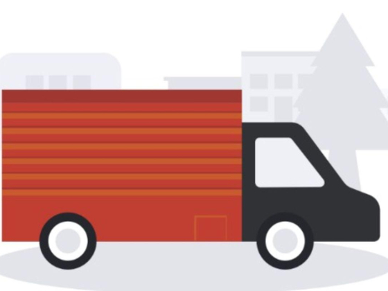 Solid Star Relocation Cargo Packing