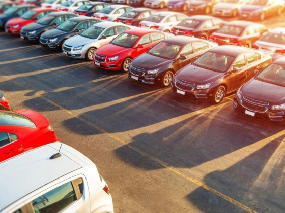 Wadi Al Mamzar Car Park Rental & Management