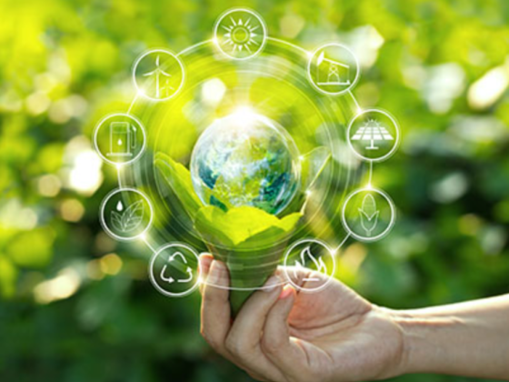 5 Capitals Environmental & Management Consulting