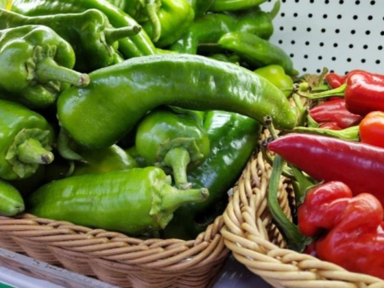 Tilal Alsahoury Foodstuff Trading