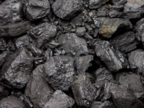 Kams Petro Metals