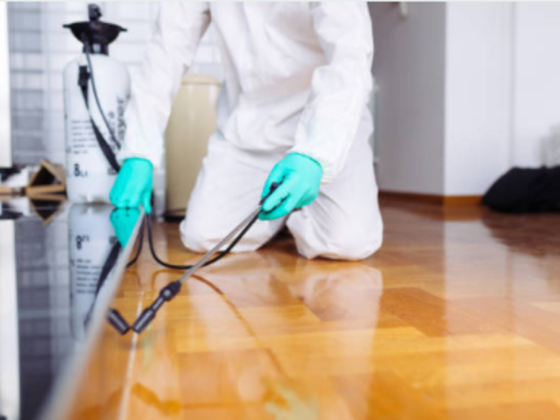 Al Mandhar Pest Control