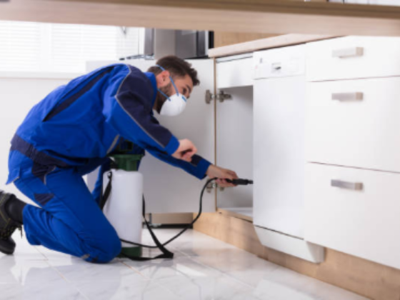 Al Mandhar Pest Control