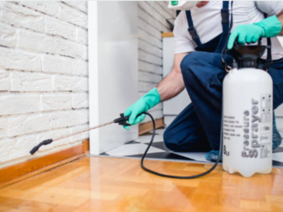 Al Mandhar Pest Control
