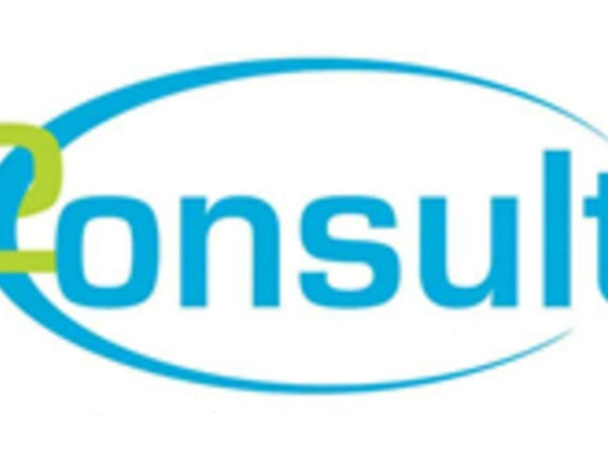 2 Consult IT Services