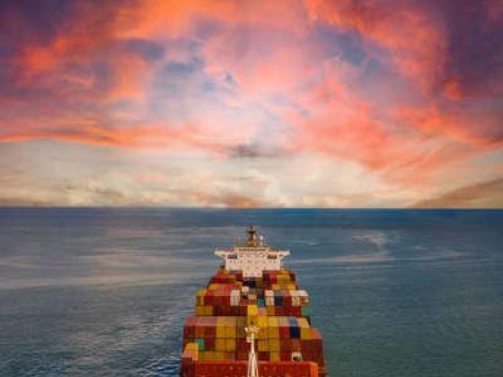 Arabian Sea Clearing & Shipping