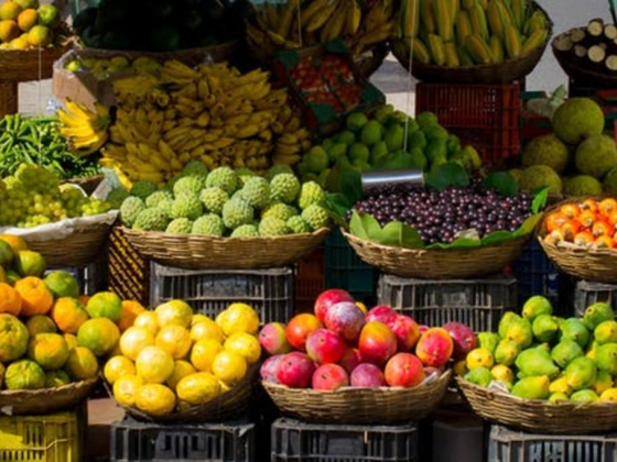 Green Bright Vegetables & Fruits Trading