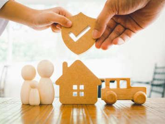 Loyal Surveyors & Loss Adjusters