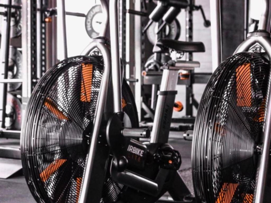 D5 Gym