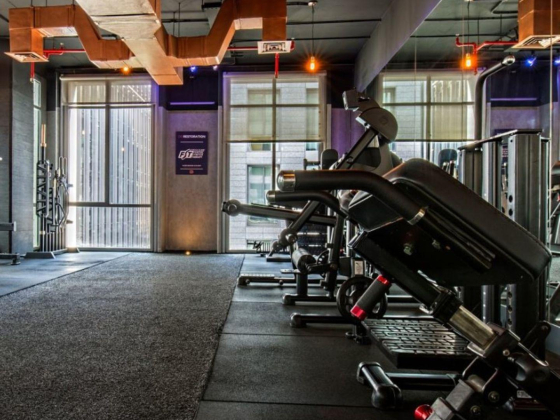 D5 Gym