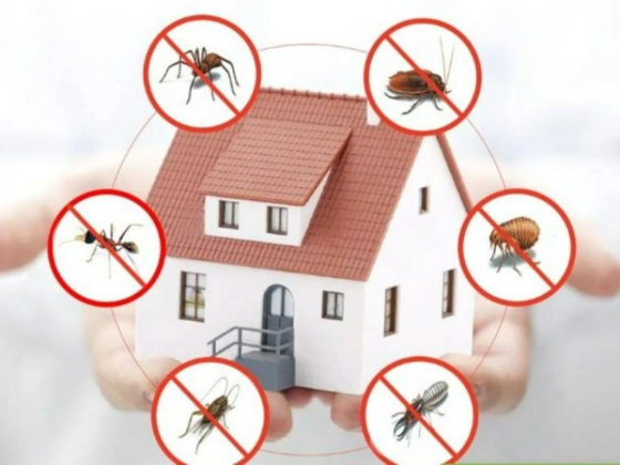 Way Pest Control