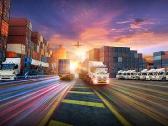 Berrio Logistics Co.