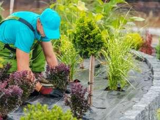 Najmat Al Roudah Landscaping
