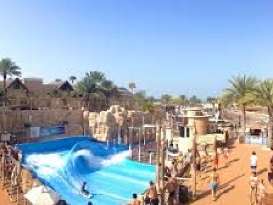 Wild Wadi Water Park