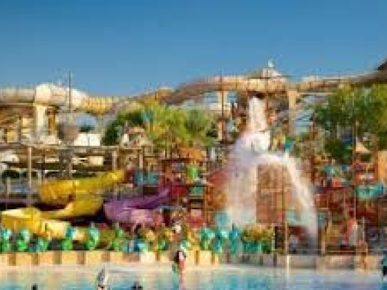 Wild Wadi Water Park