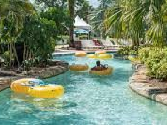 Wild Wadi Water Park