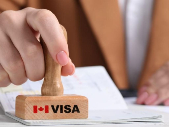 Destican Immigration Services