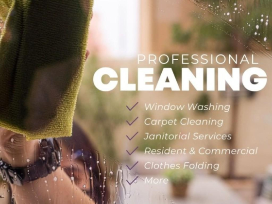 Swept Away Cleaning Services