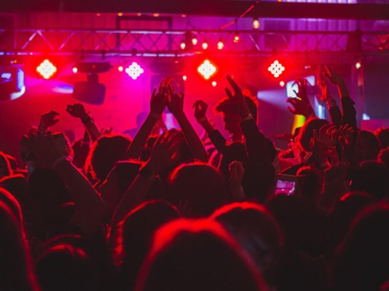 Maya Indian Night Club