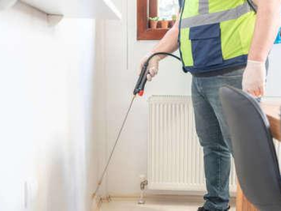 Ahlan Wa Sahlan Pest Control And Cleaning Services