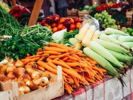 Tahir Mehmood Vegetable & Fruit Trading