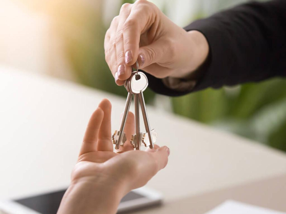 Maz Properties