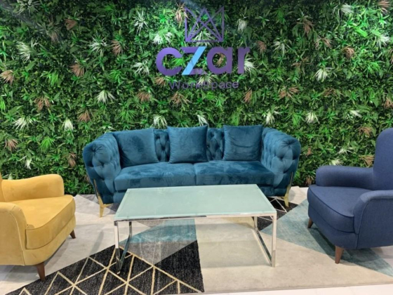 Czar Business Center