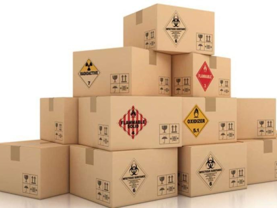 Ibp Cargo Services
