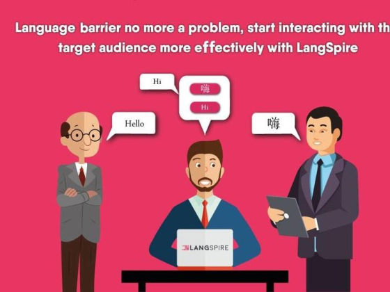 Langspire Public Networking Services