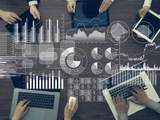 Al Ahli Certified Public Accountants