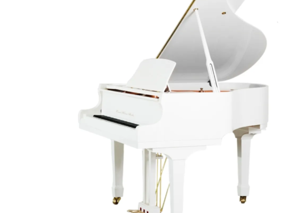 Barbad Musical Instruments